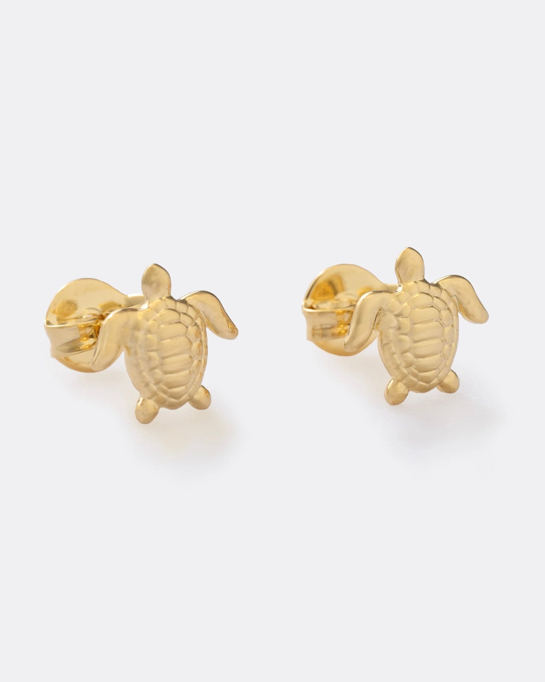 Topo tortuga